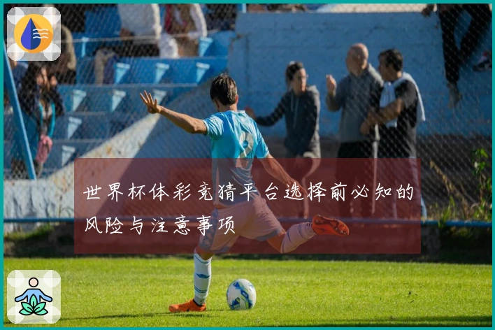 世界杯体彩竞猜平台选择前必知的风险与注意事项