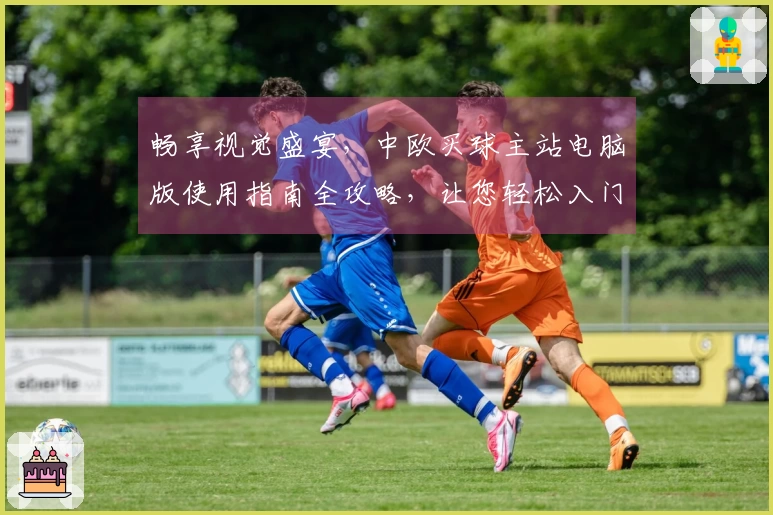 畅享视觉盛宴，中欧买球主站电脑版使用指南全攻略，让您轻松入门