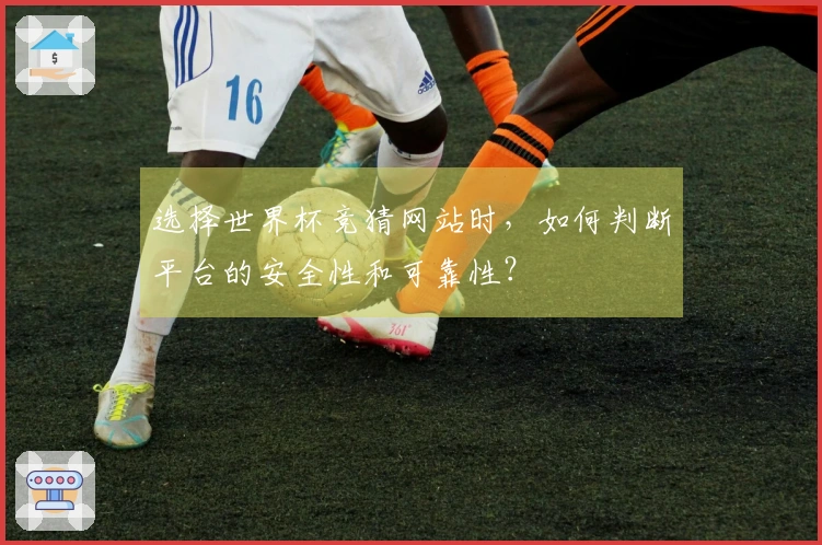 选择世界杯竞猜网站时，如何判断平台的安全性和可靠性？