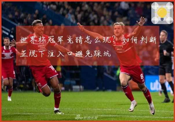 世界杯冠军竞猜怎么玩？如何判断正规下注入口避免踩坑