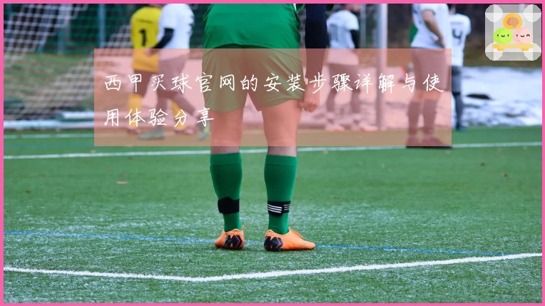 西甲买球官网的安装步骤详解与使用体验分享