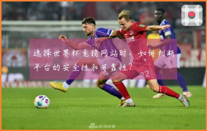 选择世界杯竞猜网站时,如何判断平台的安全性和可靠性?
