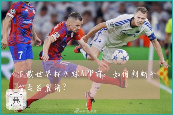 下载世界杯买球APP前，如何判断平台是否靠谱？